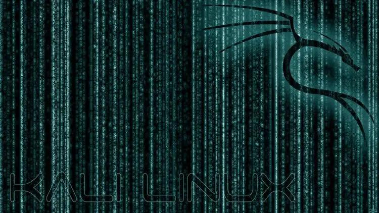IT Sicherheitstests und Ethical Hacking mit Kali Linux (E-Learning)