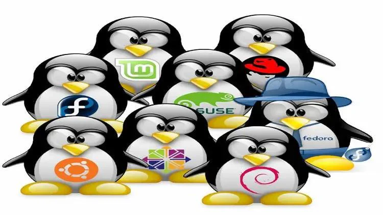 Linux für Junior System Administratoren (E-Learning) - Image 2